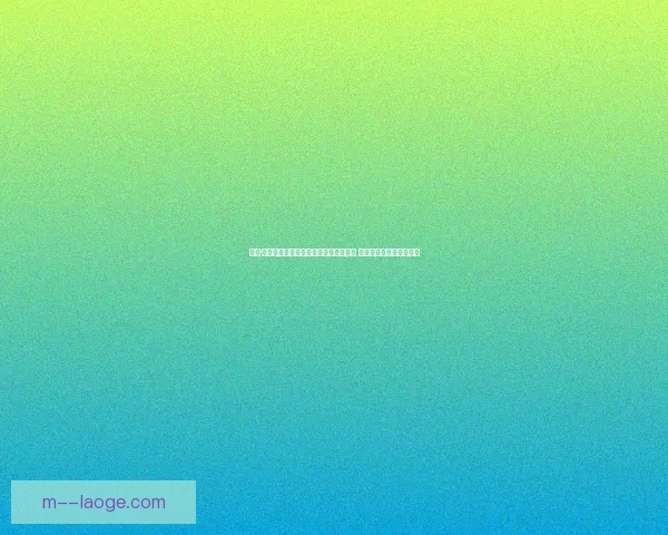 拉法·席尔瓦免签加盟贝西克塔斯开启新篇章 为土耳其豪门注入新活力