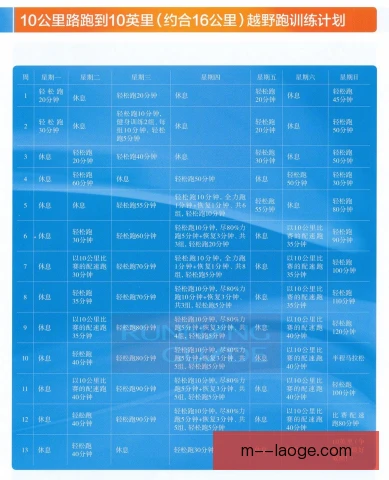 公路跑训练周期划分明确，基础强化与赛前减量衔接